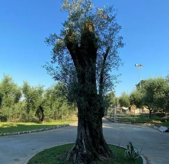 Casa Vacanze La Selva