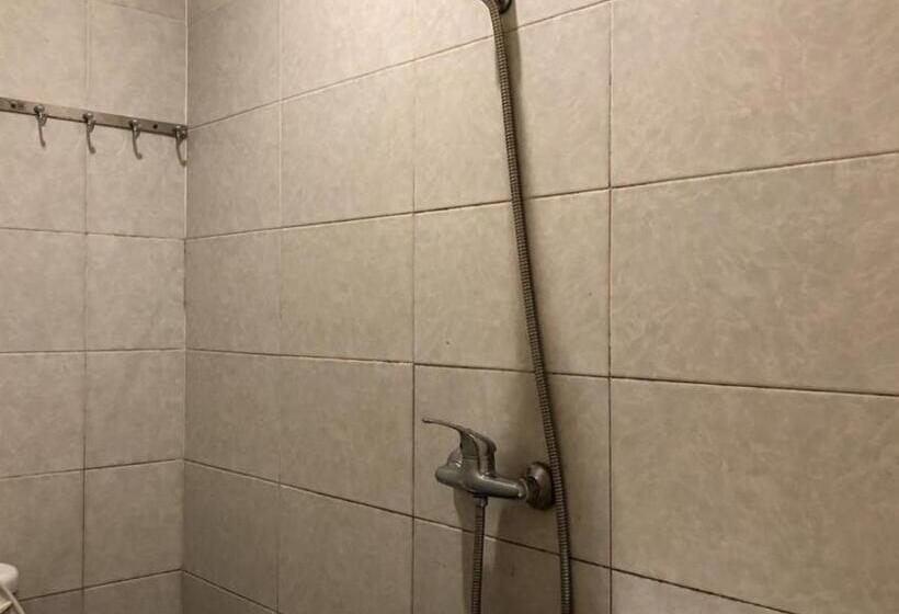 בית מלון כפרי D Mario Palopo