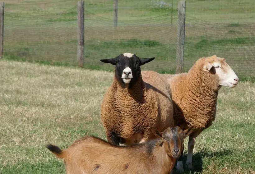 Hotelli Seven Peaks Farm Stay