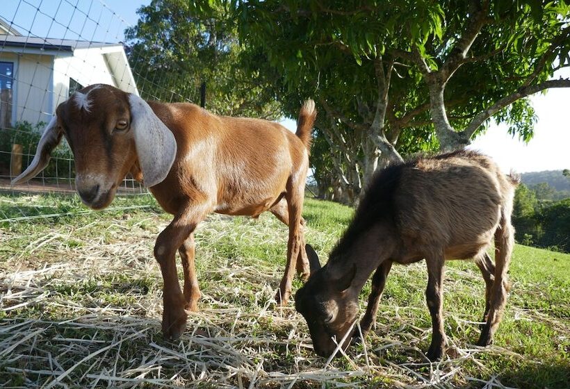 Отель Seven Peaks Farm Stay