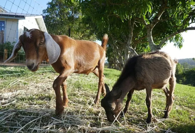 Hotelli Seven Peaks Farm Stay