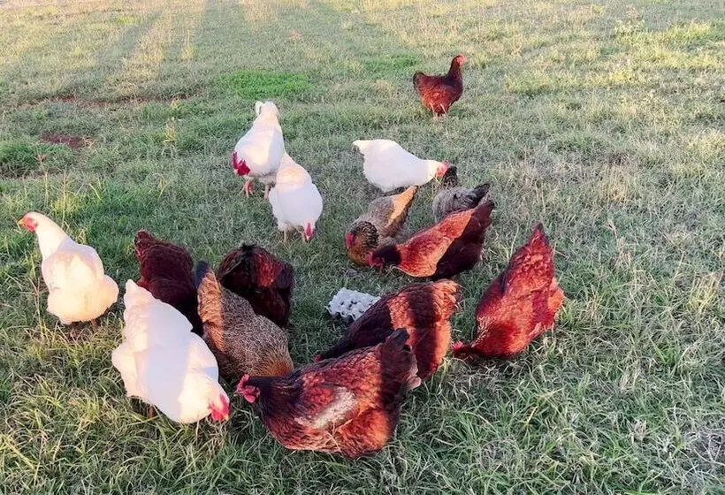 Hotelli Seven Peaks Farm Stay