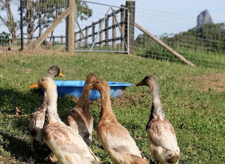 Отель Seven Peaks Farm Stay