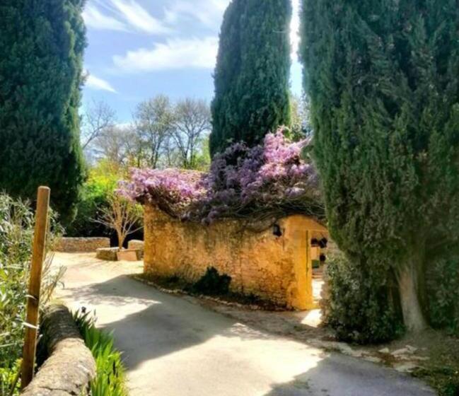 Пансион Maison 1643