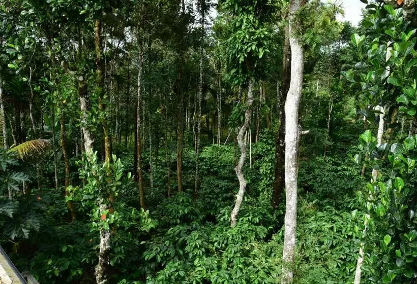 Majatalo Pauls Retreat Wayanad