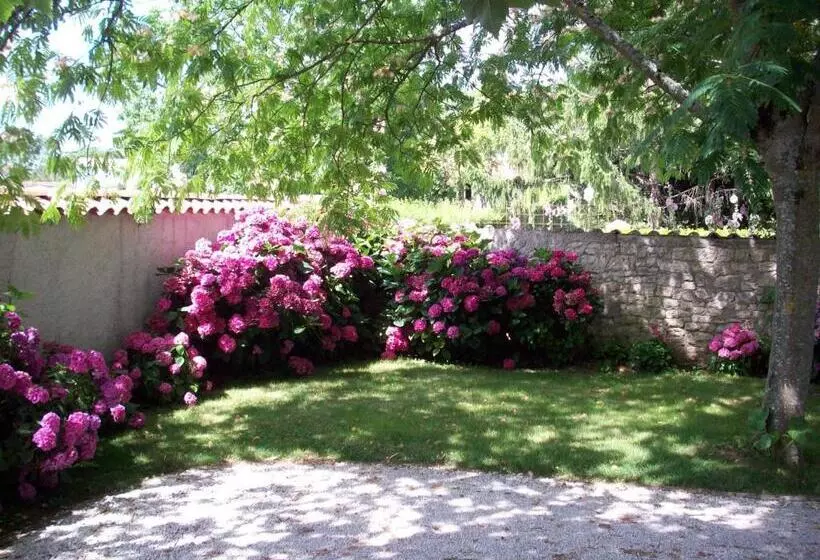 Aamiaismajoitus (B&B) Le Petit Massigny