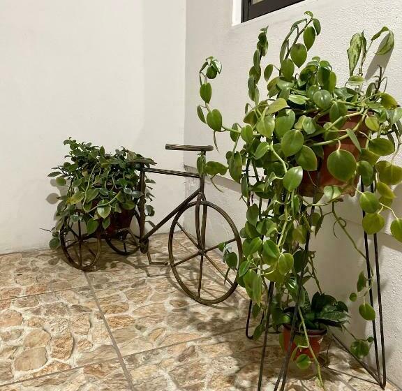 Hermoso Apartamento En La Capital De Costa Rica