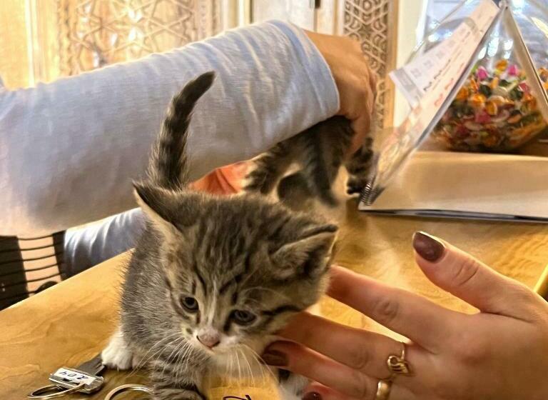 בית מלון כפרי Nodirabegim Boutique