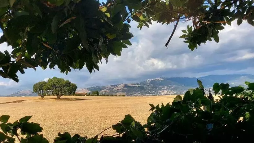 L Oasi Della Pace