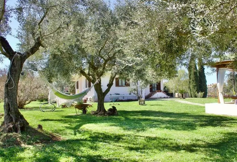 L Oasi Della Pace