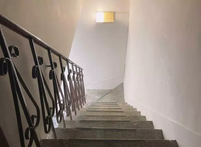 هاستل Tomo B&b