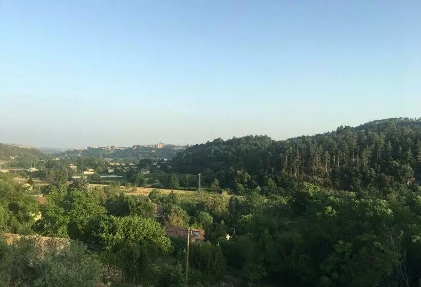 Nocleg ze śniadaniem De Vliegher