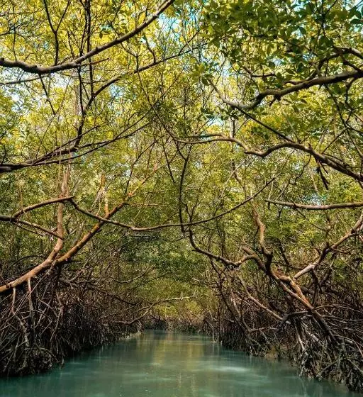 ホテル Icaraí Beach