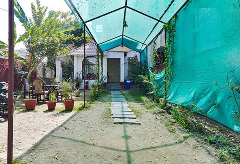 Hotel Oyo 72209 Tree Of Heaven