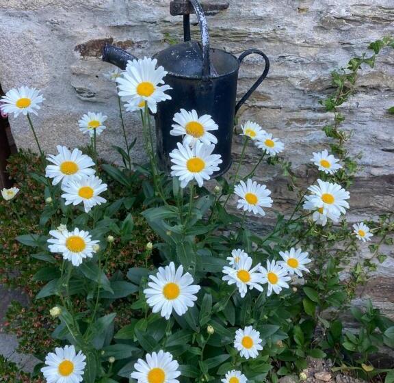 پانسیون Bissick Old Mill