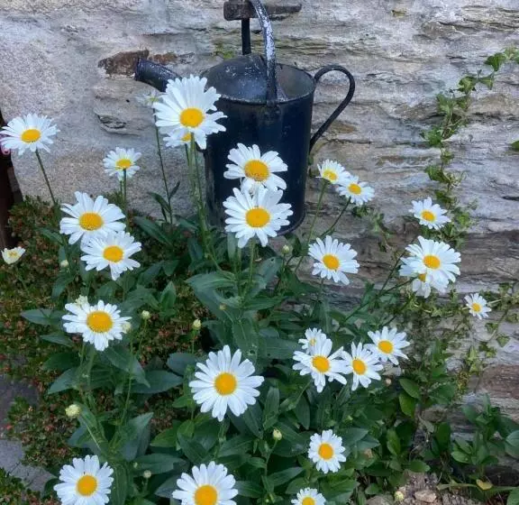 پانسیون Bissick Old Mill