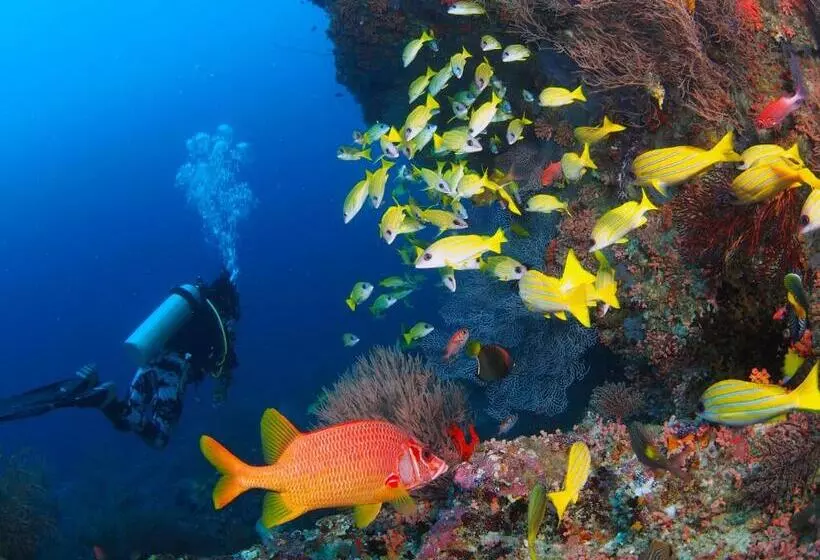 پانسیون Unwind Dhigurah