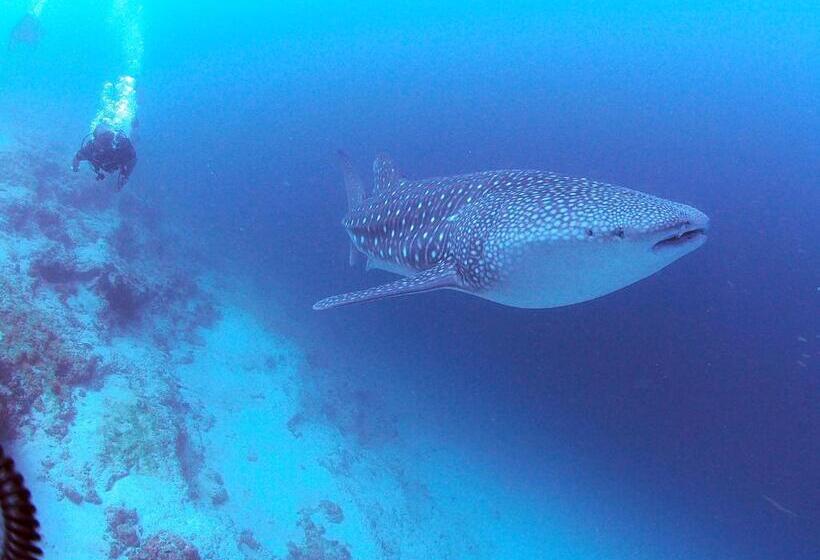 پانسیون Unwind Dhigurah