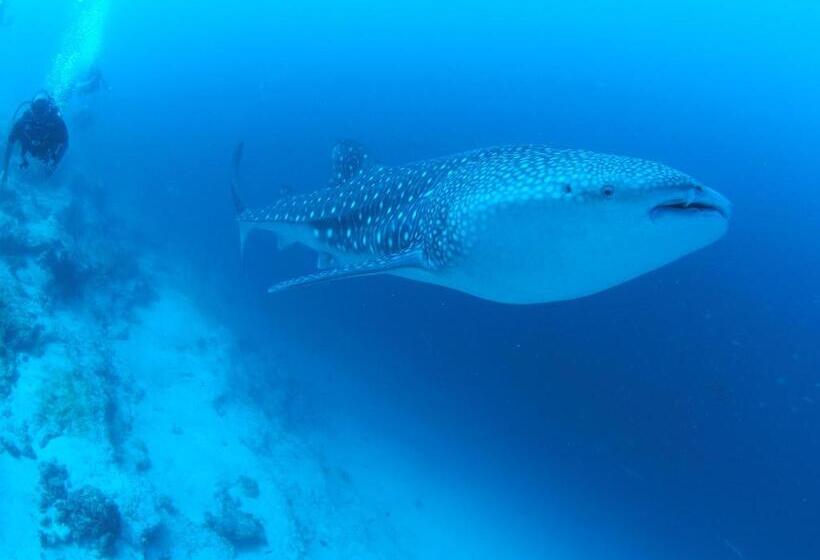 پانسیون Unwind Dhigurah