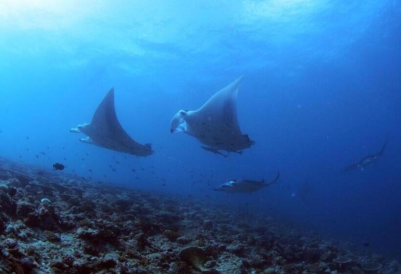 پانسیون Unwind Dhigurah