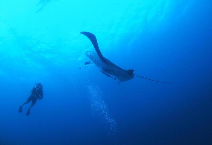 پانسیون Unwind Dhigurah