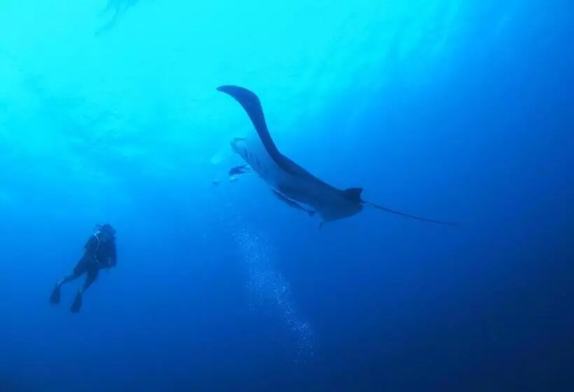 پانسیون Unwind Dhigurah