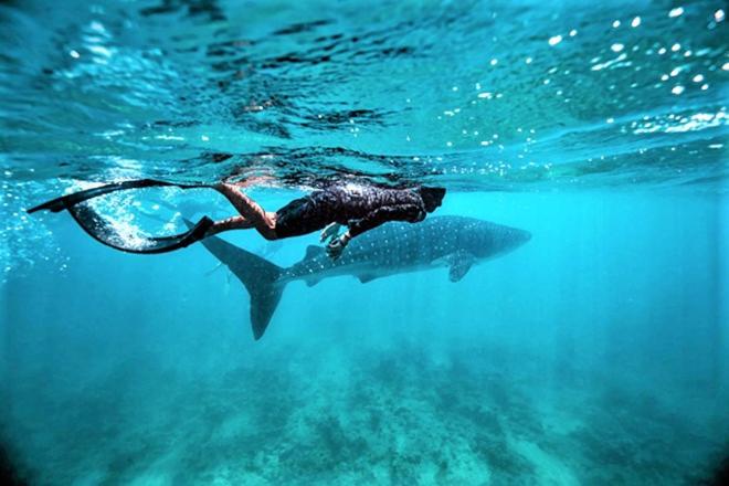 پانسیون Unwind Dhigurah