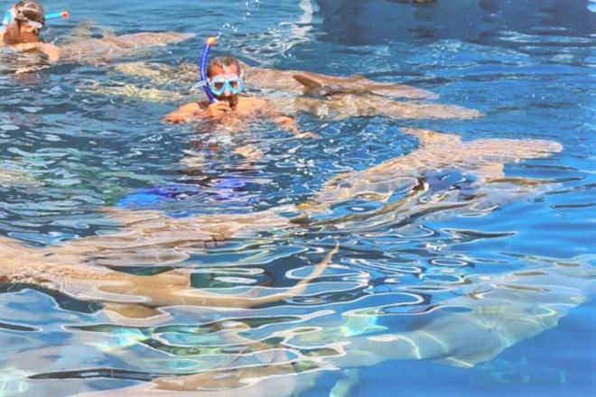 پانسیون Unwind Dhigurah