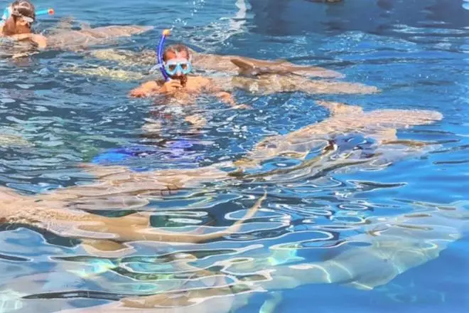 پانسیون Unwind Dhigurah