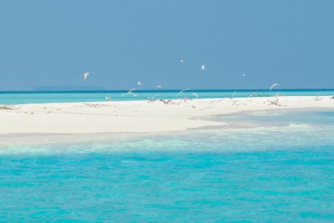 پانسیون Unwind Dhigurah