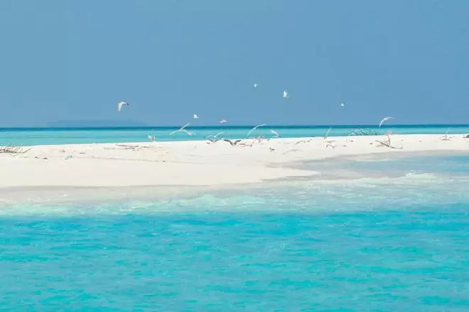 پانسیون Unwind Dhigurah