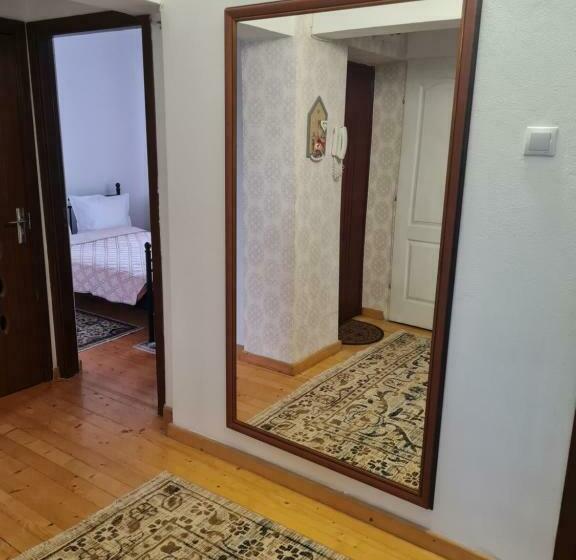 Apartament Central