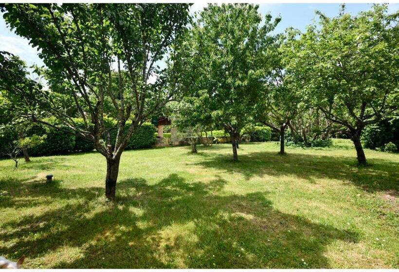 Пансион Domaine De Plisseau