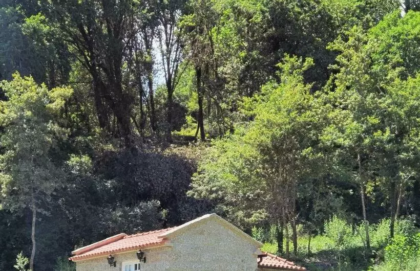 Mill House By The River