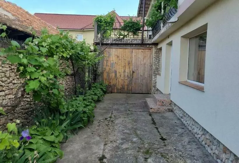 Pensjonat Casa Iacob