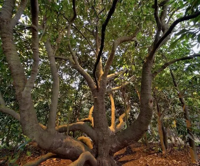 Red Hill Bed And Breakfast