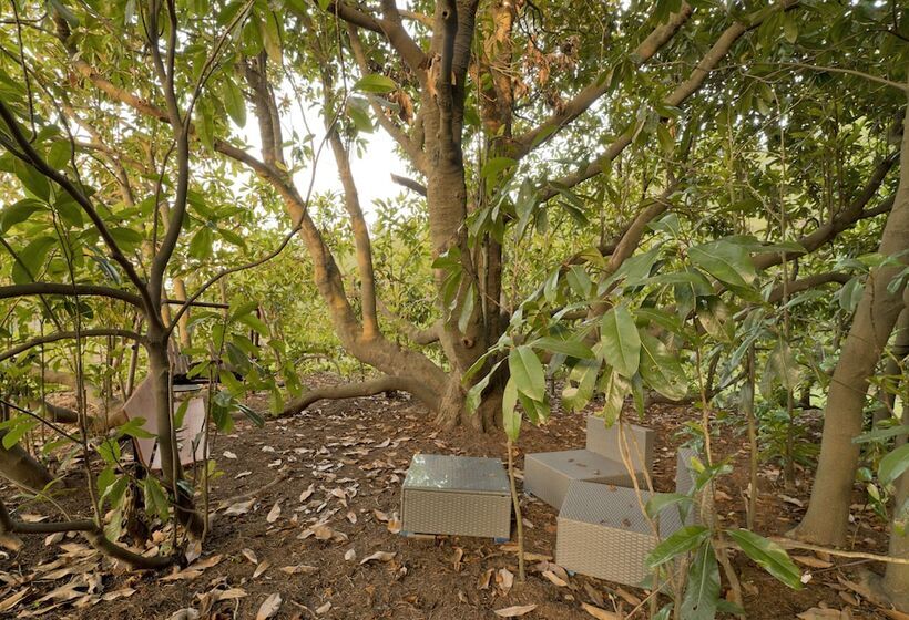 Red Hill Bed And Breakfast