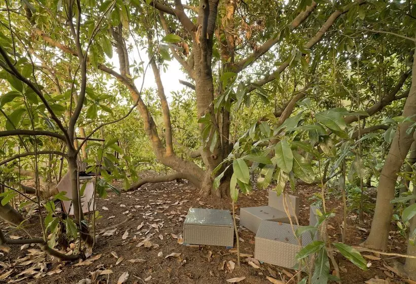 Red Hill Bed And Breakfast