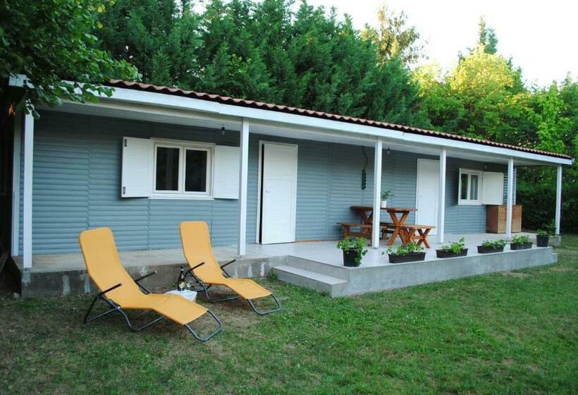 Akarattya Endless Summer Woodhouse