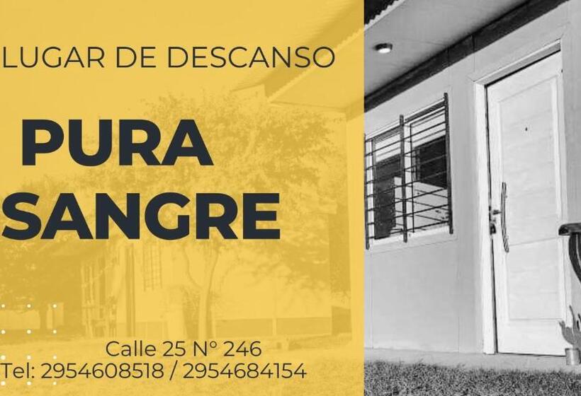 تختخواب و صبحانه Pura Sangre