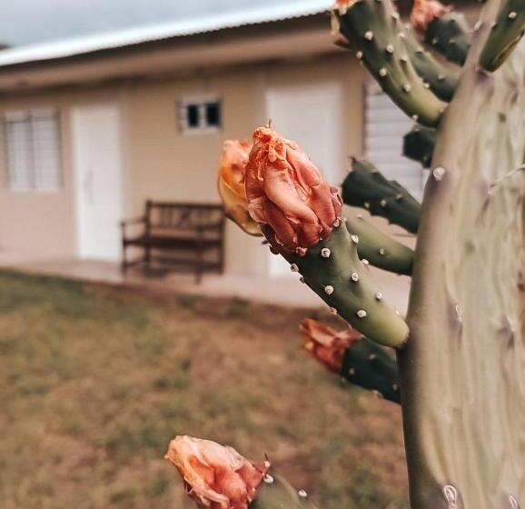 تختخواب و صبحانه Pura Sangre