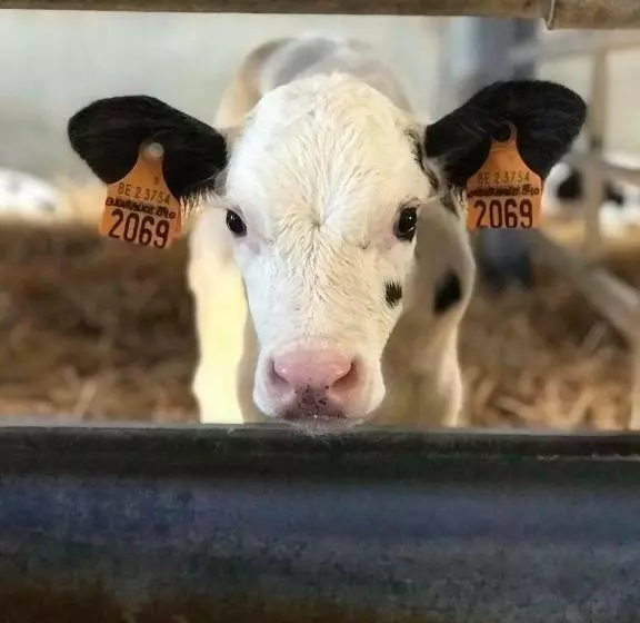 De Burkelhoeve App.b