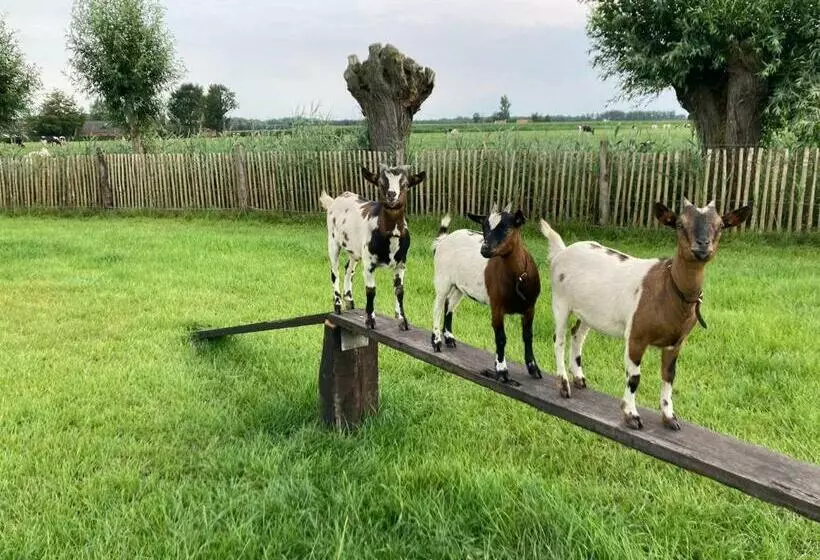 De Burkelhoeve App.b