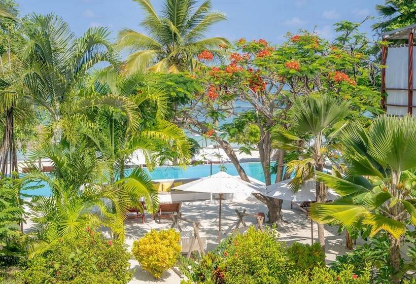 فندق Alma Boutique