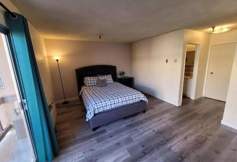 ホテル (c20) Large & Cozy Unit