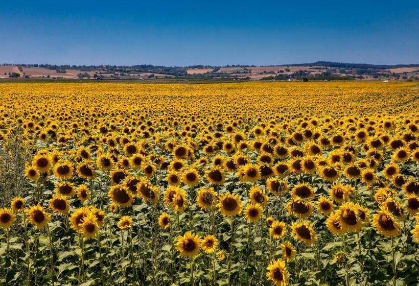 فندق Hostellerie Du Chateau Bellenaves