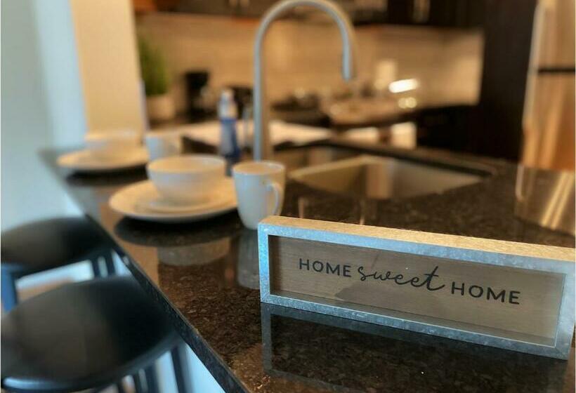 Luxury 1br Condo Montrose Med Center Galleria