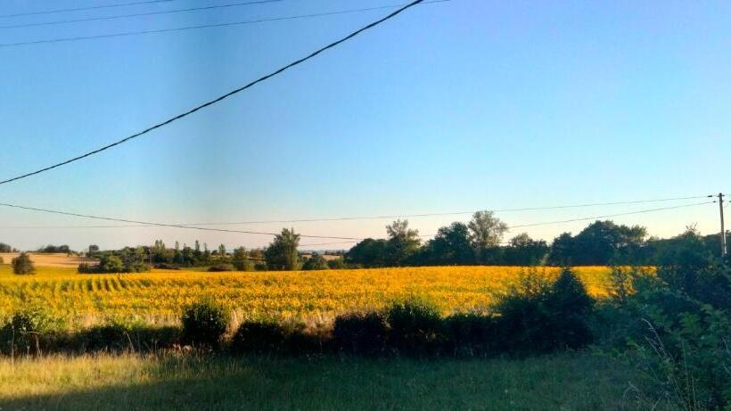 Пансион Domaine Des Favaud