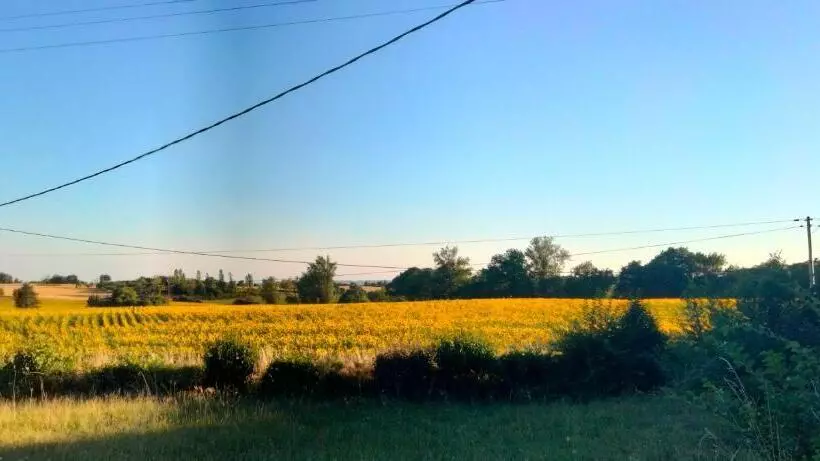 پانسیون Domaine Des Favaud