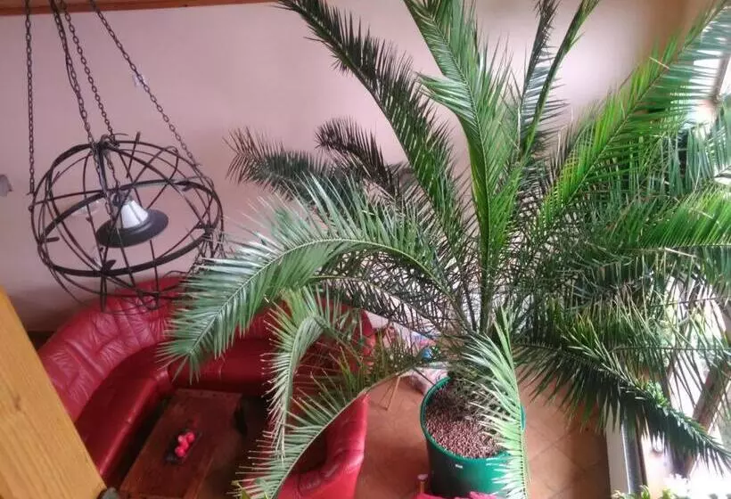 Majatalo Pod Palmou Gerlachov